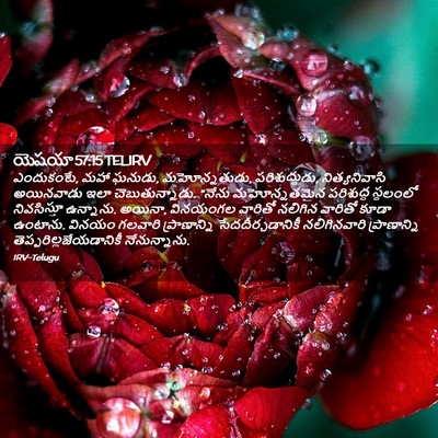 Picture 02 - యెషయా 57:15 TELIRV - ఎందుకంటే, మహా - Bible Verse Picture