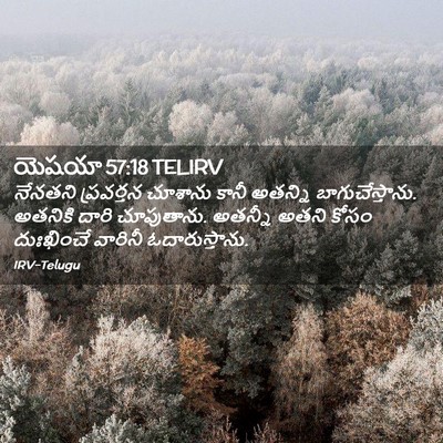 Picture 02 - యెషయా 57:18 TELIRV - నేనతని ప్రవర్తన - Bible Verse Picture