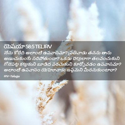 Picture 02 - యెషయా 58:5 TELIRV - నేను కోరేది - Bible Verse Picture