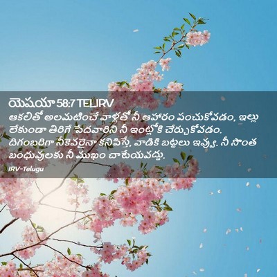 Picture 02 - యెషయా 58:7 TELIRV - ఆకలితో అలమటించే - Bible Verse Picture