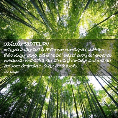 Picture 02 - యెషయా 58:9 TELIRV - అప్పుడు నువ్వు - Bible Verse Picture