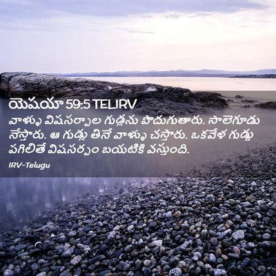 Picture 02 - యెషయా 59:5 TELIRV - వాళ్ళు విషసర్పాల - Bible Verse Picture