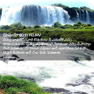 Picture 02 - యెషయా 60:14 TELIRV - నిన్ను - Bible Verse Picture