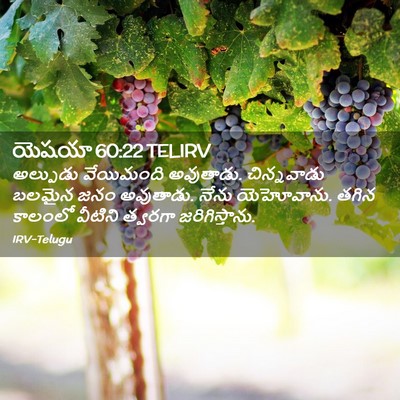 Picture 02 - యెషయా 60:22 TELIRV - అల్పుడు వేయిమంది - Bible Verse Picture