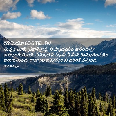 Picture 02 - యెషయా 60:5 TELIRV - నువ్వు చూసి - Bible Verse Picture