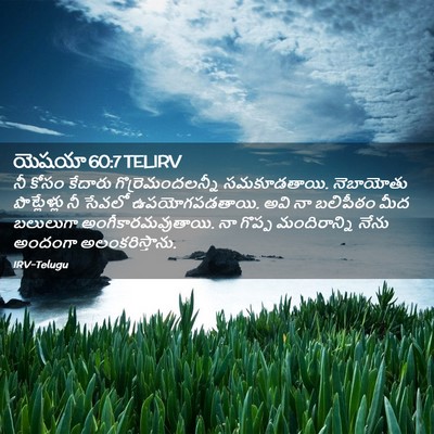 Picture 02 - యెషయా 60:7 TELIRV - నీ కోసం కేదారు - Bible Verse Picture