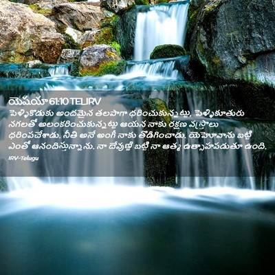 Picture 02 - యెషయా 61:10 TELIRV - పెళ్ళికొడుకు - Bible Verse Picture
