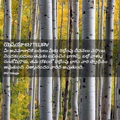 Picture 02 - యెషయా 61:7 TELIRV - మీ అవమానానికి - Bible Verse Picture