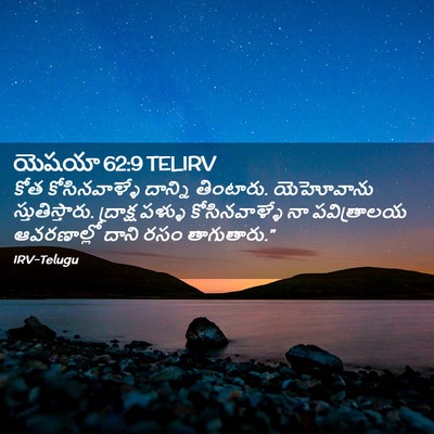 Picture 02 - యెషయా 62:9 TELIRV - కోత కోసినవాళ్ళే - Bible Verse Picture