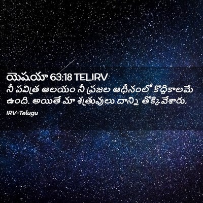 Picture 02 - యెషయా 63:18 TELIRV - నీ పవిత్ర ఆలయం నీ - Bible Verse Picture