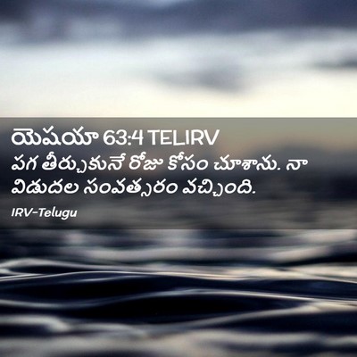Picture 02 - యెషయా 63:4 TELIRV - పగ తీర్చుకునే - Bible Verse Picture