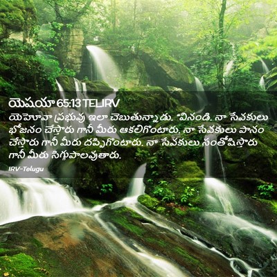 Picture 02 - యెషయా 65:13 TELIRV - యెహోవా ప్రభువు - Bible Verse Picture