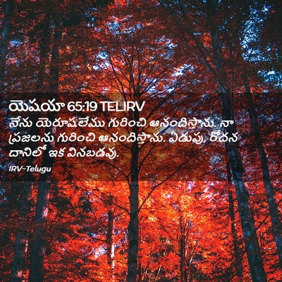 Picture 02 - యెషయా 65:19 TELIRV - నేను యెరూషలేము - Bible Verse Picture