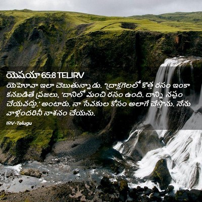 Picture 02 - యెషయా 65:8 TELIRV - యెహోవా ఇలా - Bible Verse Picture