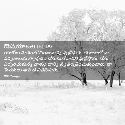 Picture 02 - యెషయా 65:9 TELIRV - యాకోబు వంశంలో - Bible Verse Picture