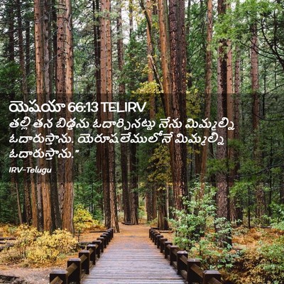 Picture 02 - యెషయా 66:13 TELIRV - తల్లి తన బిడ్డను - Bible Verse Picture