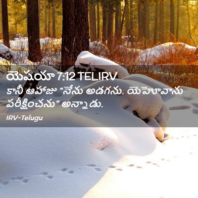 Picture 02 - యెషయా 7:12 TELIRV - కానీ ఆహాజు “నేను - Bible Verse Picture