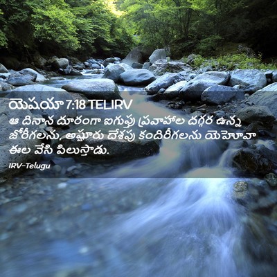 Picture 02 - యెషయా 7:18 TELIRV - ఆ దినాన దూరంగా - Bible Verse Picture