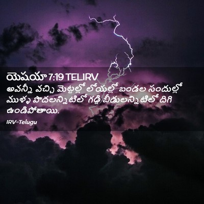 Picture 02 - యెషయా 7:19 TELIRV - అవన్నీ వచ్చి - Bible Verse Picture