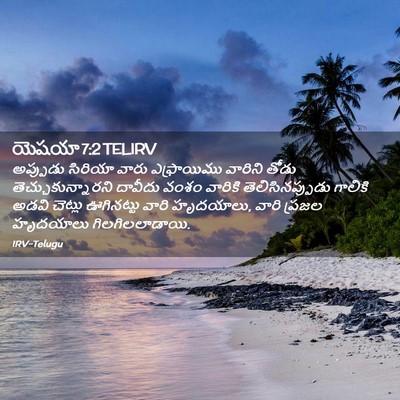 Picture 02 - యెషయా 7:2 TELIRV - అప్పుడు సిరియా - Bible Verse Picture