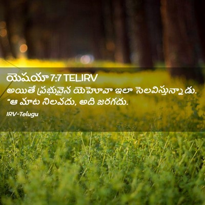 Picture 02 - యెషయా 7:7 TELIRV - అయితే ప్రభువైన - Bible Verse Picture