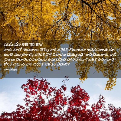 Picture 02 - యెషయా 8:19 TELIRV - వారు మాతో - Bible Verse Picture