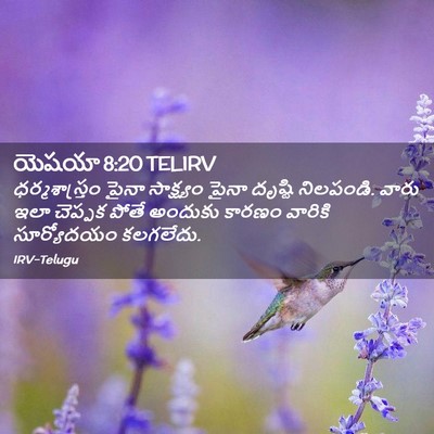 Picture 02 - యెషయా 8:20 TELIRV - ధర్మశాస్త్రం పైనా - Bible Verse Picture