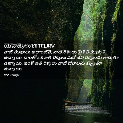 Picture 02 - యెహెజ్కేలు 1:11 TELIRV - వాటి ముఖాలు - Bible Verse Picture