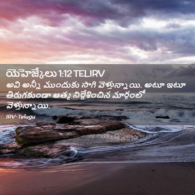 Picture 02 - యెహెజ్కేలు 1:12 TELIRV - అవి అన్నీ ముందుకు - Bible Verse Picture