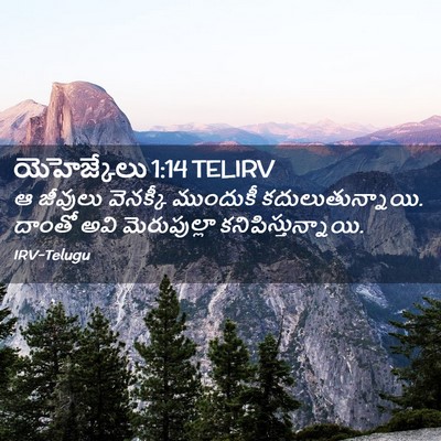 Picture 02 - యెహెజ్కేలు 1:14 TELIRV - ఆ జీవులు వెనక్కీ - Bible Verse Picture