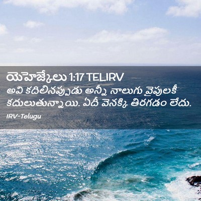 Picture 02 - యెహెజ్కేలు 1:17 TELIRV - అవి కదిలినప్పుడు - Bible Verse Picture