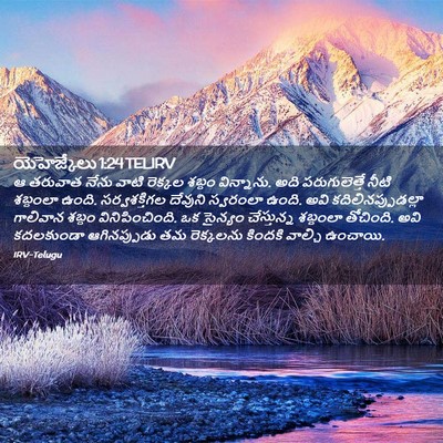 Picture 02 - యెహెజ్కేలు 1:24 TELIRV - ఆ తరువాత నేను వాటి - Bible Verse Picture