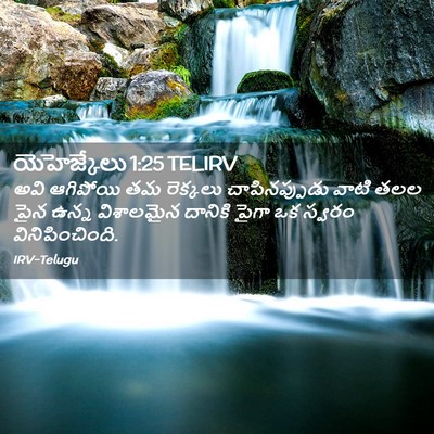 Picture 02 - యెహెజ్కేలు 1:25 TELIRV - అవి ఆగిపోయి తమ - Bible Verse Picture