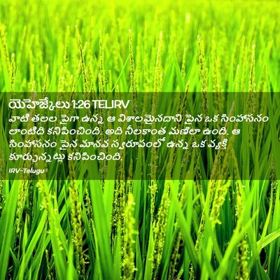 Picture 02 - యెహెజ్కేలు 1:26 TELIRV - వాటి తలల పైగా ఉన్న - Bible Verse Picture