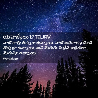 Picture 02 - యెహెజ్కేలు 1:7 TELIRV - వాటి కాళ్లు - Bible Verse Picture