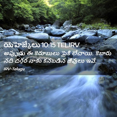 Picture 02 - యెహెజ్కేలు 10:15 TELIRV - అప్పుడు ఈ - Bible Verse Picture
