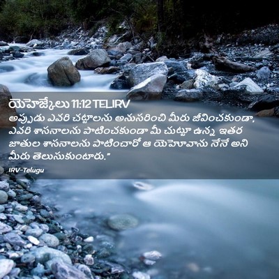 Picture 02 - యెహెజ్కేలు 11:12 TELIRV - అప్పుడు ఎవరి - Bible Verse Picture