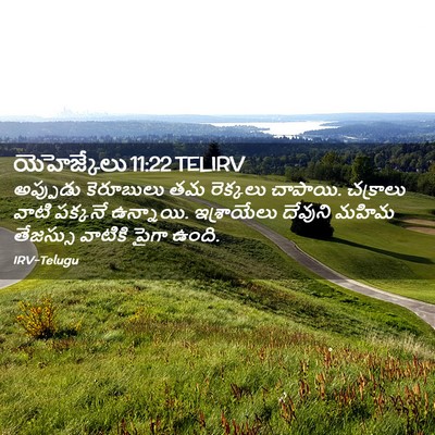 Picture 02 - యెహెజ్కేలు 11:22 TELIRV - అప్పుడు కెరూబులు - Bible Verse Picture