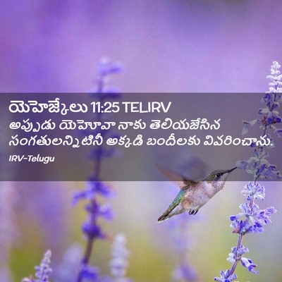 Picture 02 - యెహెజ్కేలు 11:25 TELIRV - అప్పుడు యెహోవా - Bible Verse Picture