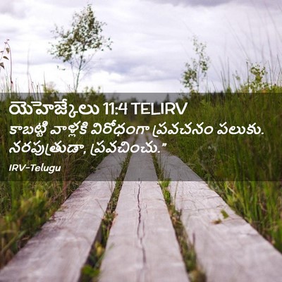 Picture 02 - యెహెజ్కేలు 11:4 TELIRV - కాబట్టి వాళ్లకి - Bible Verse Picture