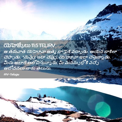Picture 02 - యెహెజ్కేలు 11:5 TELIRV - ఆ తరువాత యెహోవా - Bible Verse Picture