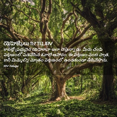 Picture 02 - యెహెజ్కేలు 11:7 TELIRV - కాబట్టి ప్రభువైన - Bible Verse Picture