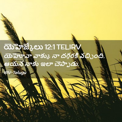Picture 02 - యెహెజ్కేలు 12:1 TELIRV - యెహోవా వాక్కు నా - Bible Verse Picture