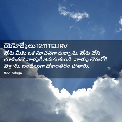 Picture 02 - యెహెజ్కేలు 12:11 TELIRV - నేను మీకు ఒక - Bible Verse Picture