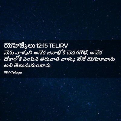 Picture 02 - యెహెజ్కేలు 12:15 TELIRV - నేను వాళ్ళని అనేక - Bible Verse Picture