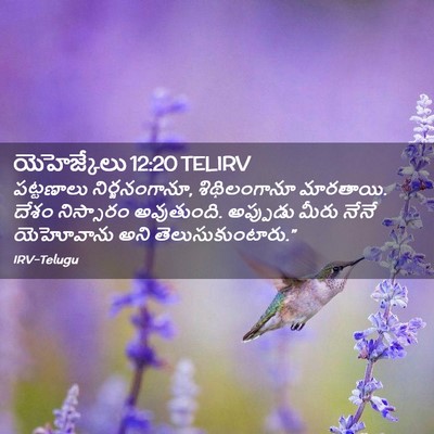 Picture 02 - యెహెజ్కేలు 12:20 TELIRV - పట్టణాలు - Bible Verse Picture