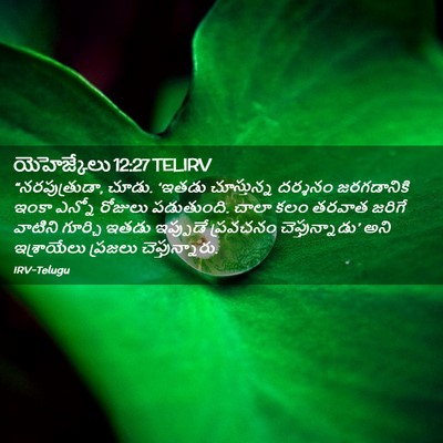 Picture 02 - యెహెజ్కేలు 12:27 TELIRV - “నరపుత్రుడా, చూడు. - Bible Verse Picture
