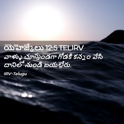Picture 02 - యెహెజ్కేలు 12:5 TELIRV - వాళ్ళు చూస్తుండగా - Bible Verse Picture