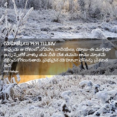 Picture 02 - యెహెజ్కేలు 14:14 TELIRV - అప్పుడు ఆ దేశంలో - Bible Verse Picture