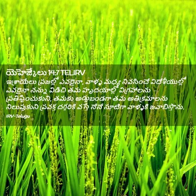 Picture 02 - యెహెజ్కేలు 14:7 TELIRV - ఇశ్రాయేలు - Bible Verse Picture